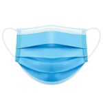 Disposable Nose Mask