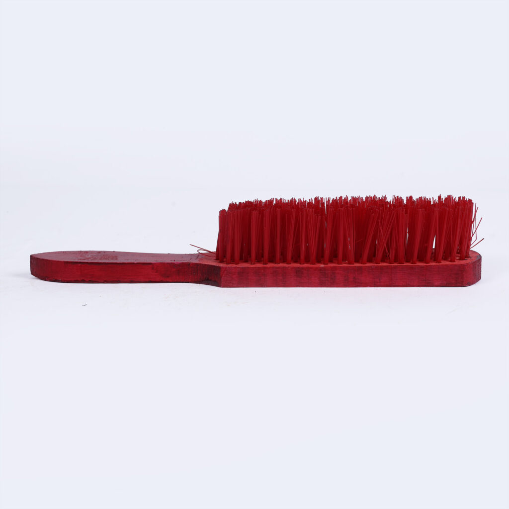 Carpet brush